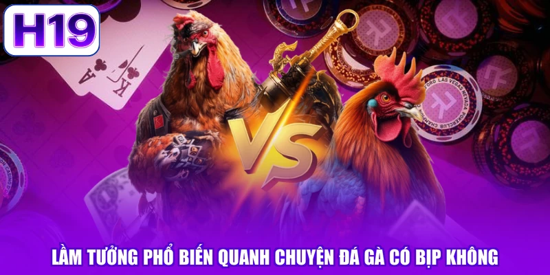 Lầm tưởng phổ biến quanh chuyện đá gà có bịp không