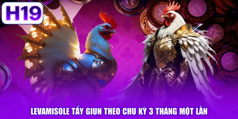 Levamisole tẩy giun theo chu kỳ 3 tháng một lần