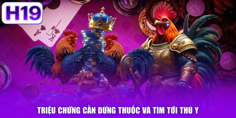 Triệu chứng cần dừng thuốc và tìm tới thú y